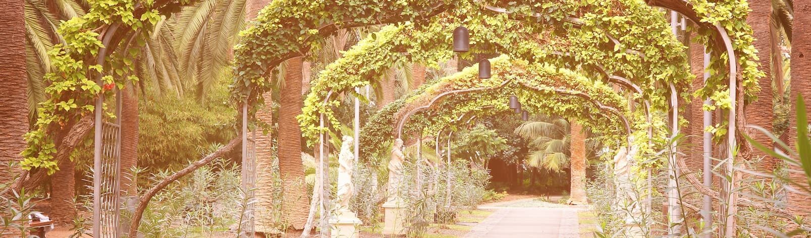 Mindful Breathing Practices for Calming